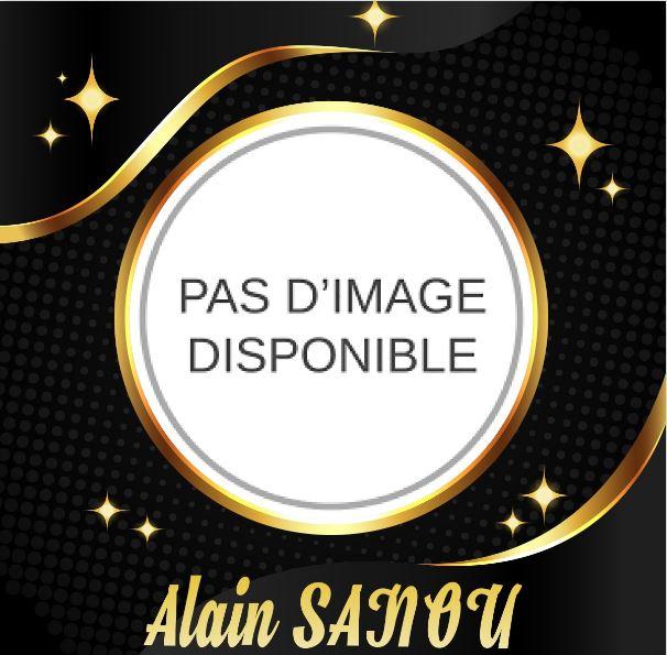 Alain sanou